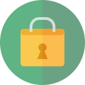 Main feature icon security